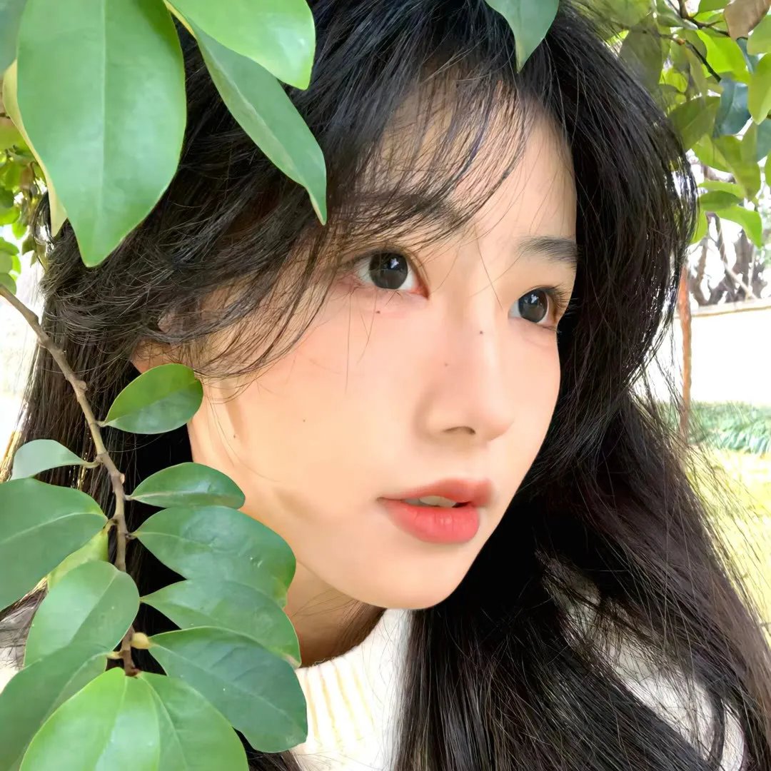 北非特警
