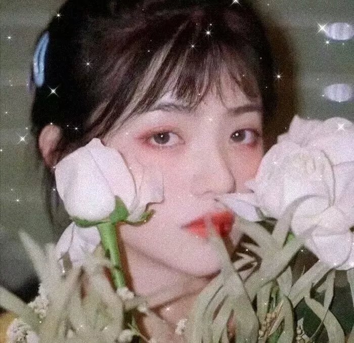 卡美洛